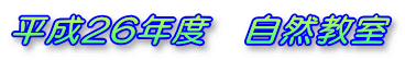 26Nx@R